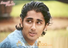 Siddharth Photogallery photo 15
